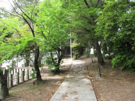 画像25